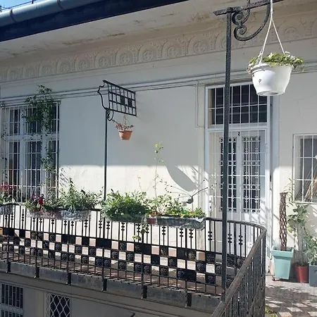 Holiday Or Working, Feel Good In The Retro Style Apartment Of A European Jiu Jitsu Champion! Budapest Exterior photo