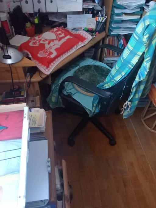 Or Working, Feel Good In The Retro Style Of A European Jiu Jitsu Champion! Apartament Budapesta