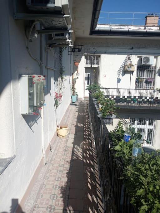 Or Working, Feel Good In The Retro Style Of A European Jiu Jitsu Champion! Apartament Budapesta