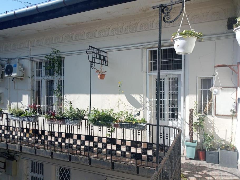 Apartament Or Working, Feel Good In The Retro Style Of A European Jiu Jitsu Champion! Budapeszt